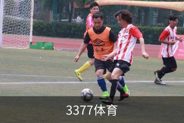 3377体育公司简介图片